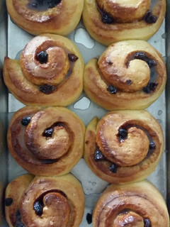 A picture of Raisin Cinnamon Rolls.