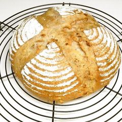 A picture of Pain de Campagne With Lots of Walnuts.