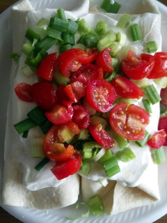 A picture of Chicken Wraps.