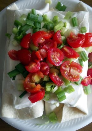 A picture of Chicken Wraps.