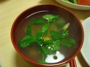A picture of clam soup