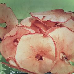 A picture of Apple chips delicious natural n healthy.