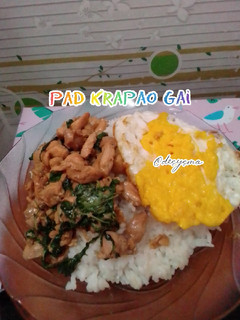 Foto resep Pad Krapao Gai { Tumis Ayam Kemangi Thailand }