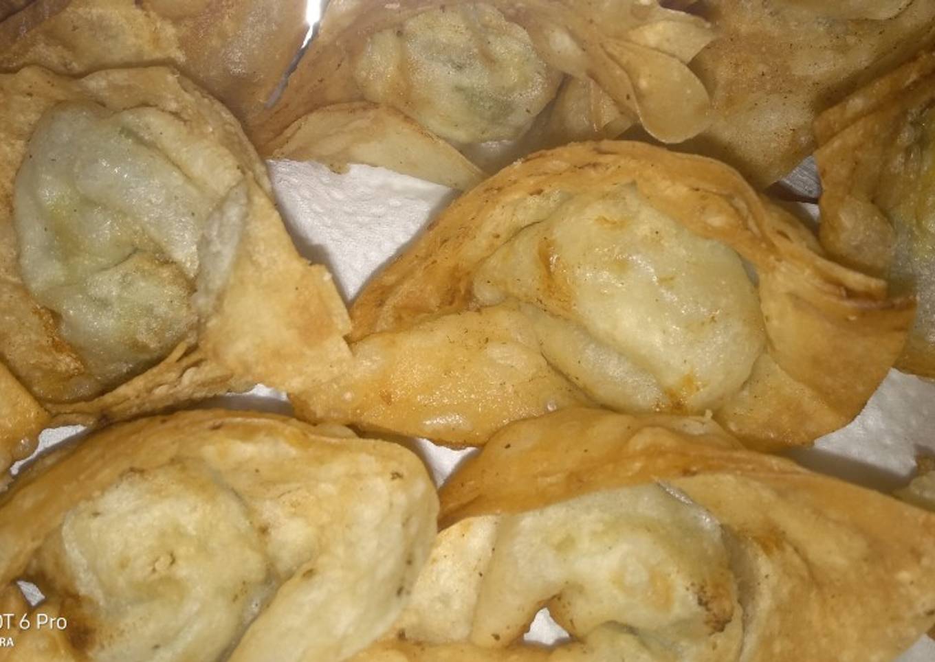 Chicken wonton