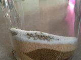 Taco Seasoning
