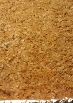 A picture of TL's No Bake After School Granola Bars.