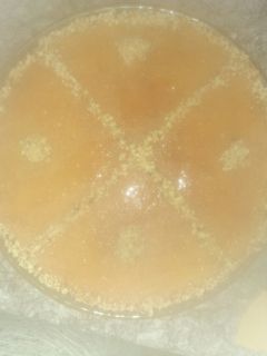 صورة لوصفة البسبوسة بالكريمة العائلية