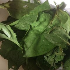 A picture of Heathy spinach crisps.