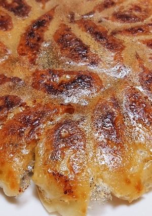 A picture of Crispy Skirt Gyoza (as featured on Hirunandesu).