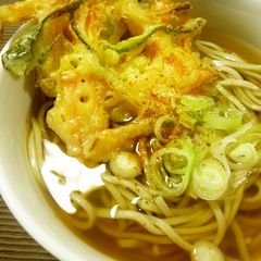 A picture of Tasty Buckwheat or Udon 'Tsuyu' Noodle Broth.