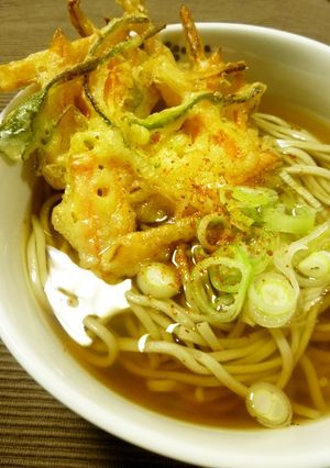 A picture of Tasty Buckwheat or Udon 'Tsuyu' Noodle Broth.
