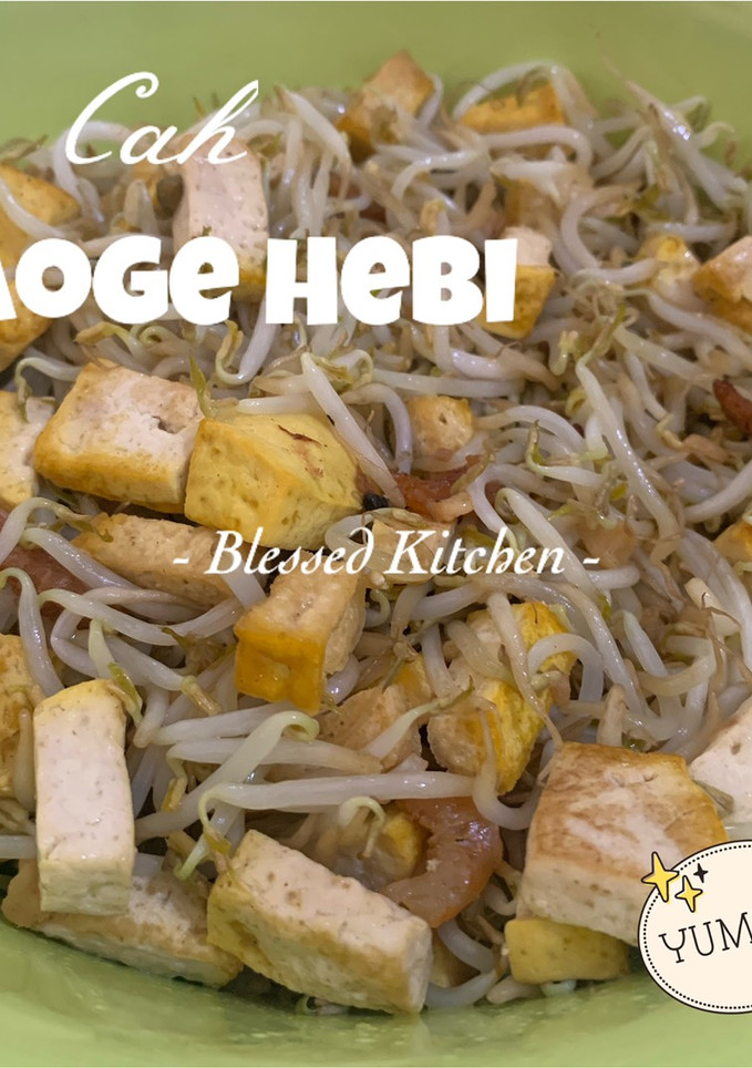 Foto resep Cah Taoge Hebi