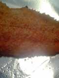 Oven Basked Lemon Catfish