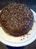 chocolate mint cake