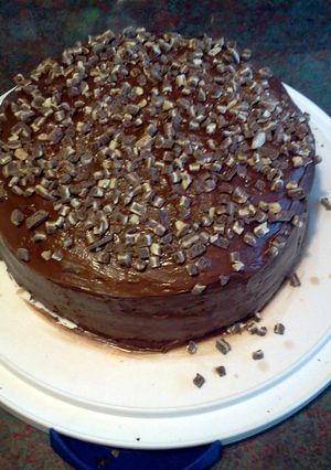 A picture of chocolate mint cake.