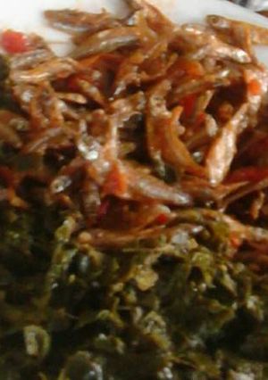 A picture of Omena Fried.