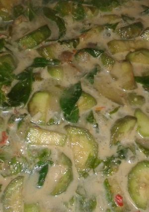 Foto resep Lodeh Terong khas Jogja