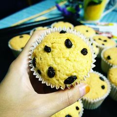 A picture of Mira's Coconut Muffin with Raisins.