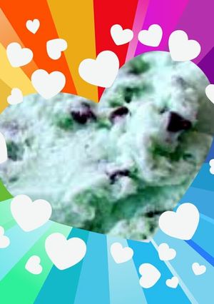 A picture of Mint Chocolate Chip, mixer $ hand.