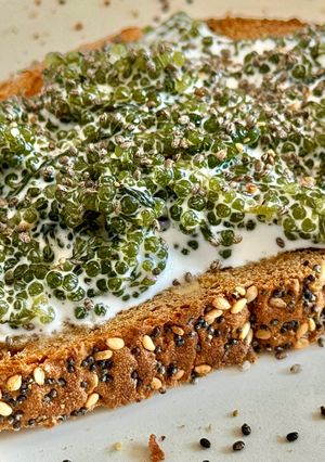 Hình của món Bánh Mì Lát Nướng Topping Rong Nho Mayonaise.