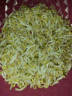 Foto resep Tips Menyimpan Toge Agar Tahan Lama Tidak Busuk