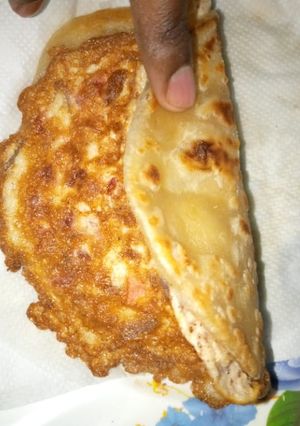 A picture of Wrap n roll(chapati and omelette).