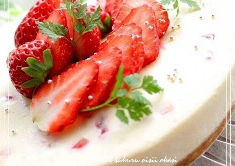 Recipe of Speedy NY Cheesecake