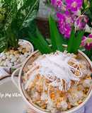 Xôi đậu phộng