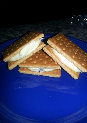 A picture of Easy Homemade Ice cream Sandwich.