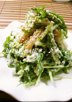 A picture of Delicious Mizuna Salad with Tofu Dressing.