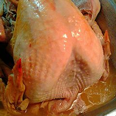 Thankgiving Day Turkey A picture of Thankgiving Day Turkey.