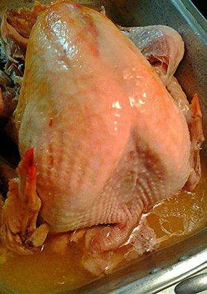A picture of Thankgiving Day Turkey.