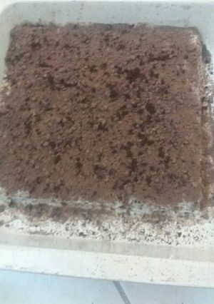 صورة لوصفة تراب الملوك