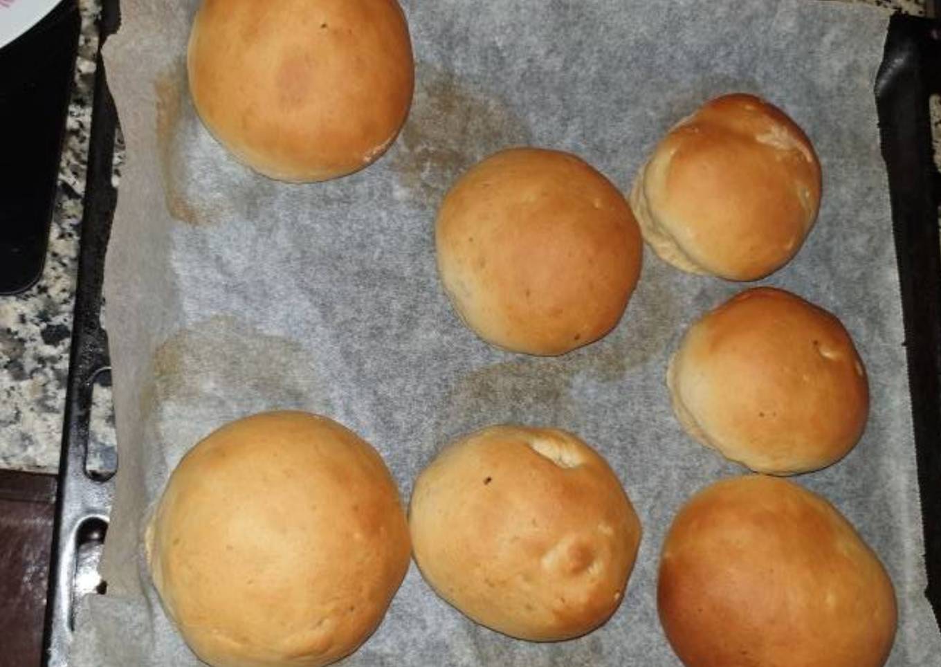 Galleta o galletón