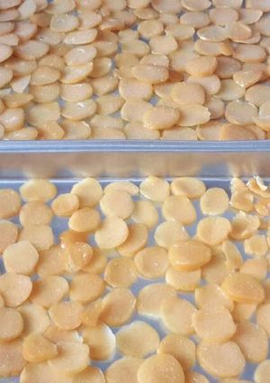 Foto resep Kerupuk wortel