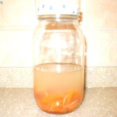 A picture of Persimmon Skin Natural Yeast.