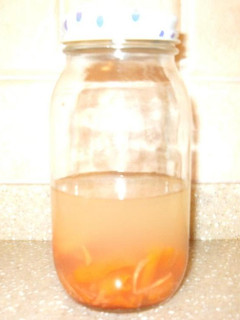 A picture of Persimmon Skin Natural Yeast.