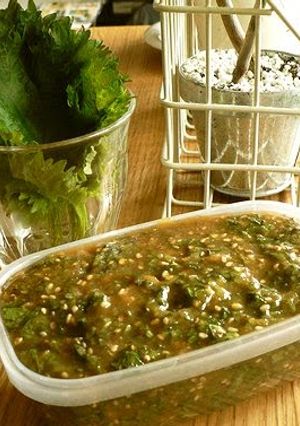 A picture of Shiso Miso.