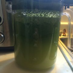 A picture of 40oz Of Geeenjuuce.