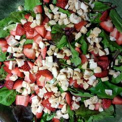 A picture of grilled chicken with raspberry acai vinaigrette salad.