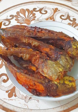 Foto resep Lele Goreng Praktis