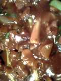 Mongolian lamb