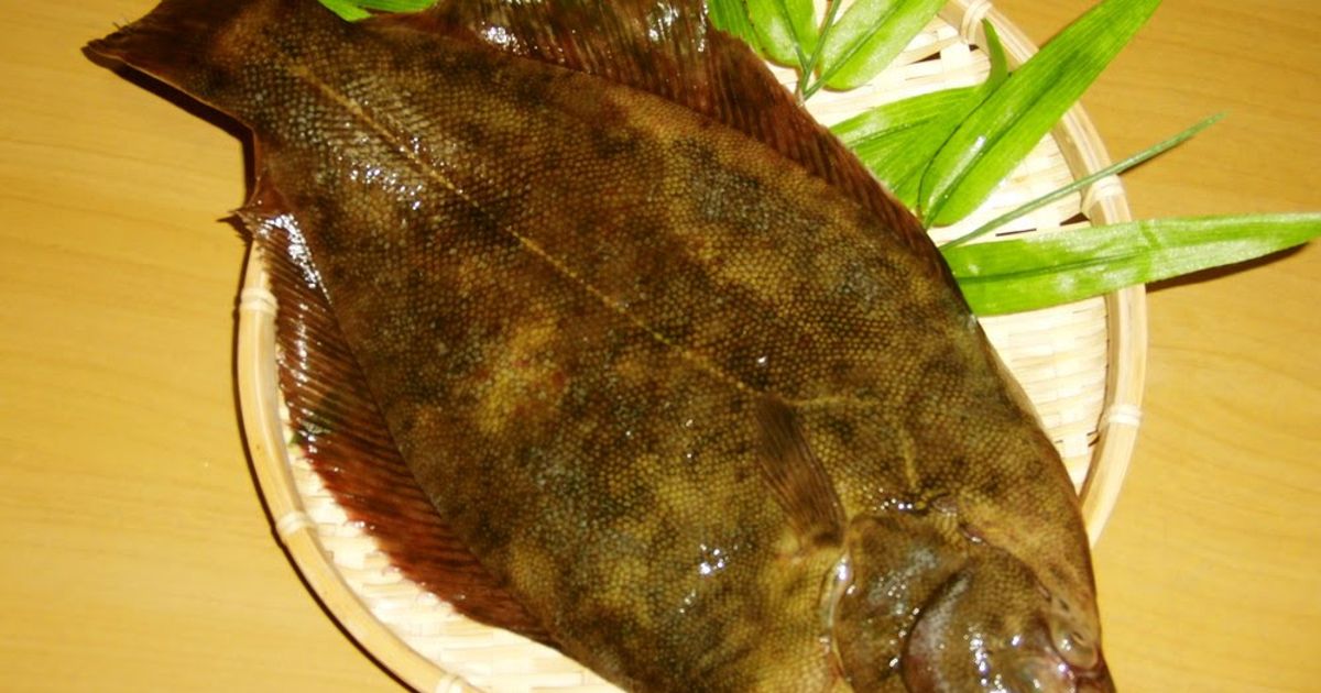 How To Fillet A Fish [5 Portion Fillet] Recipe By Cookpad.Japan