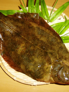 A picture of How to Fillet a Fish [5-Portion Fillet].