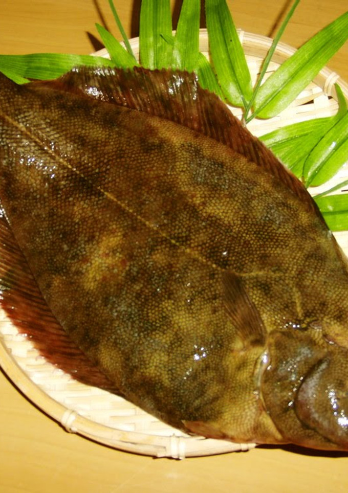 A picture of How to Fillet a Fish [5-Portion Fillet].