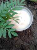 Smoothie with Natures love ...