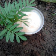 A picture of Smoothie with Natures love ....