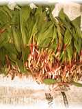 How to Prepare and Enjoy Ramps