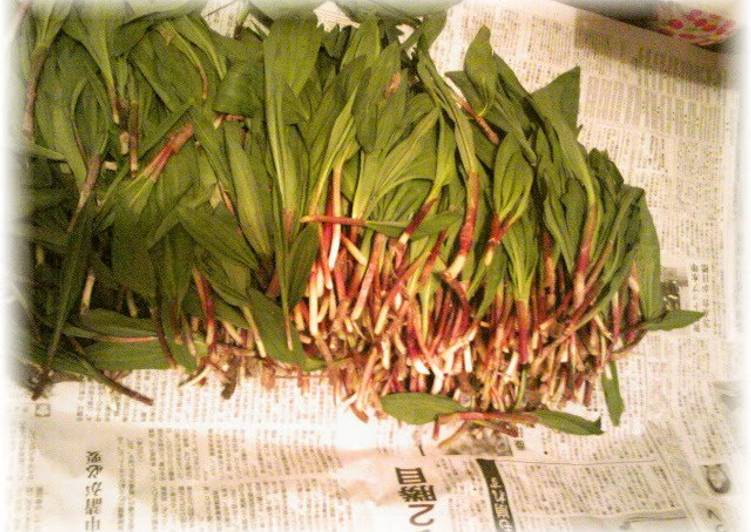 Easiest Way to Prepare Homemade How to Prepare and Enjoy Ramps