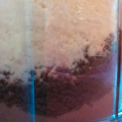 A picture of Cappuccino K-Cup Mix.